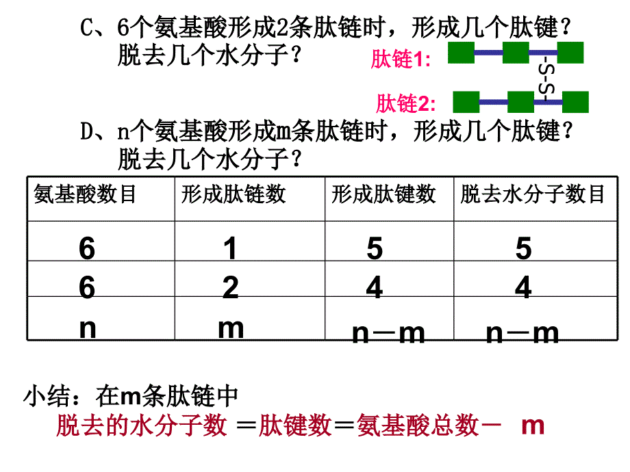 蛋白质计算题课件_第2页