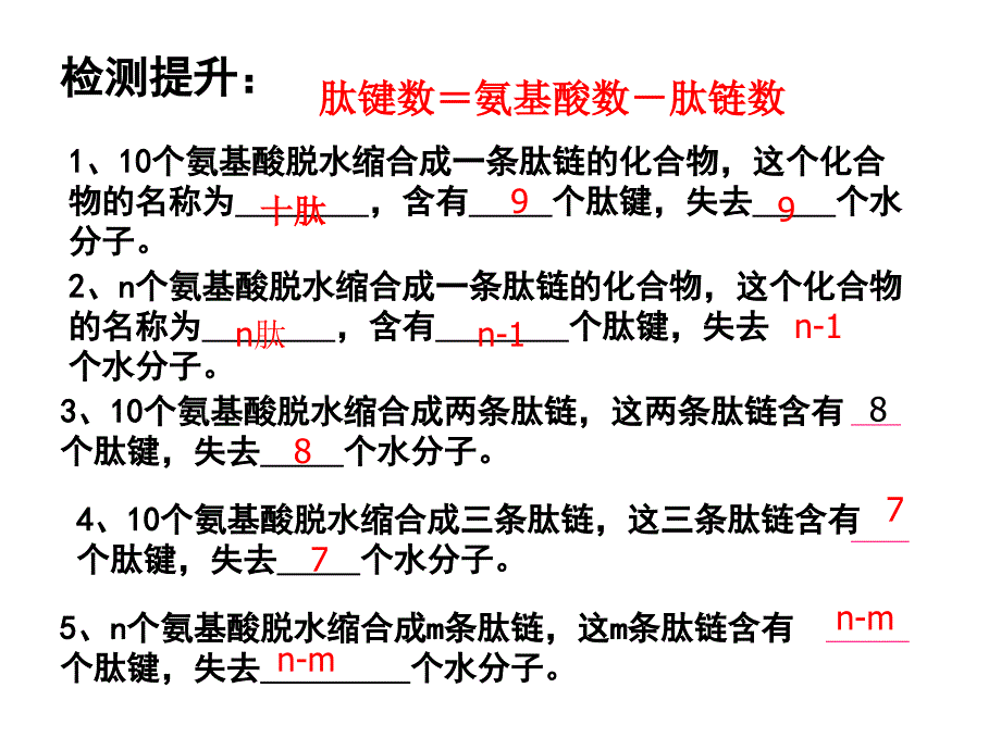 蛋白质计算题课件_第3页