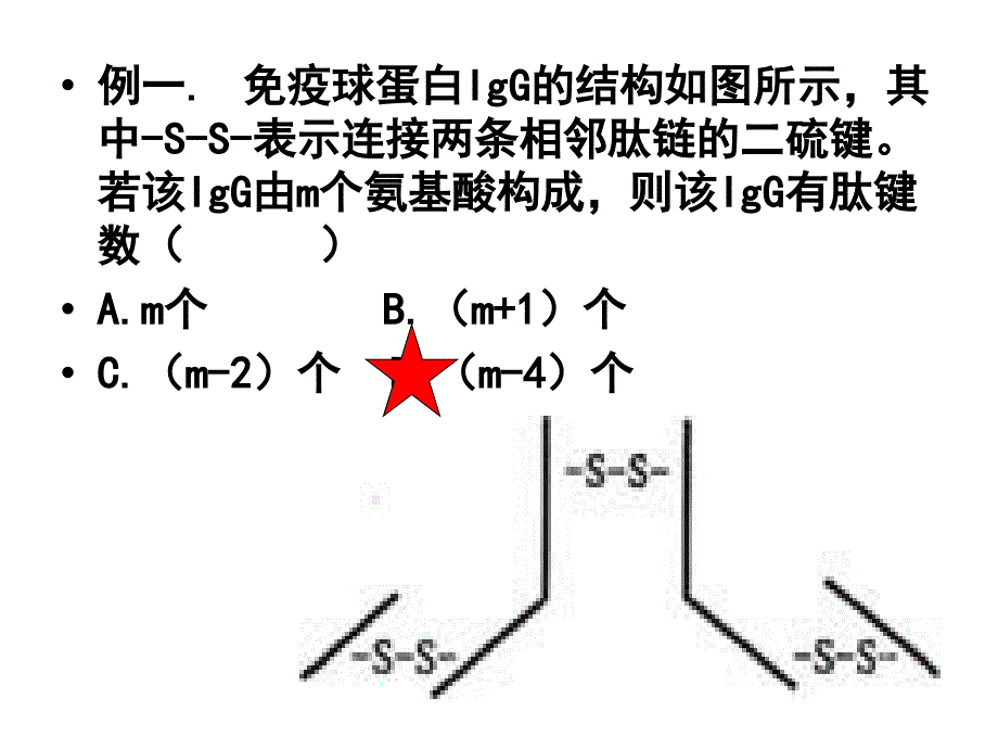 蛋白质计算题课件_第4页