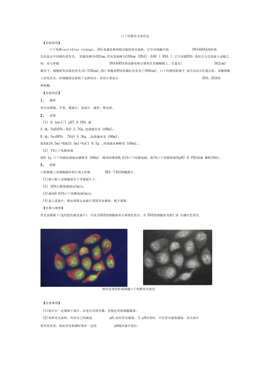 吖啶橙荧光染色法_第1页