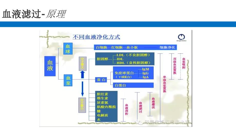 血液净化技术_第4页