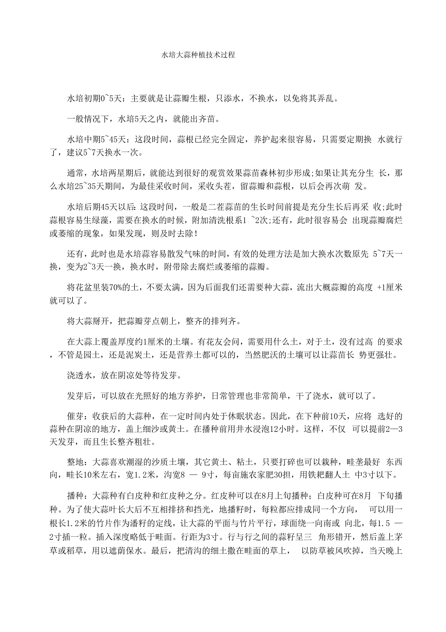 水培大蒜种植技术过程_第1页