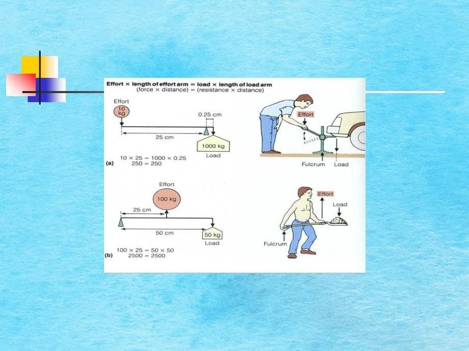 康复评定基础康复生物力学与生理学基础ppt课件_第5页