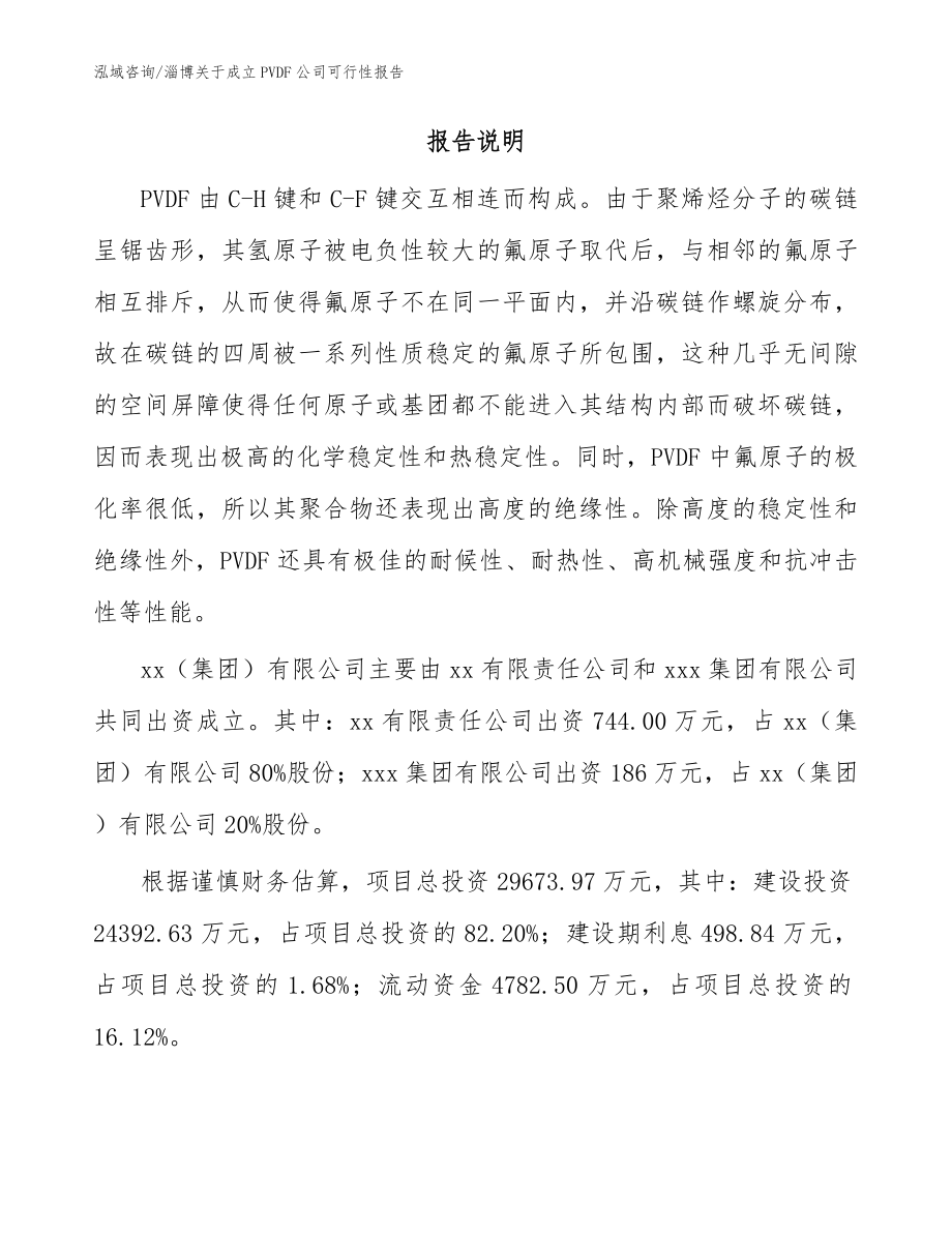 淄博关于成立PVDF公司可行性报告模板范文_第2页