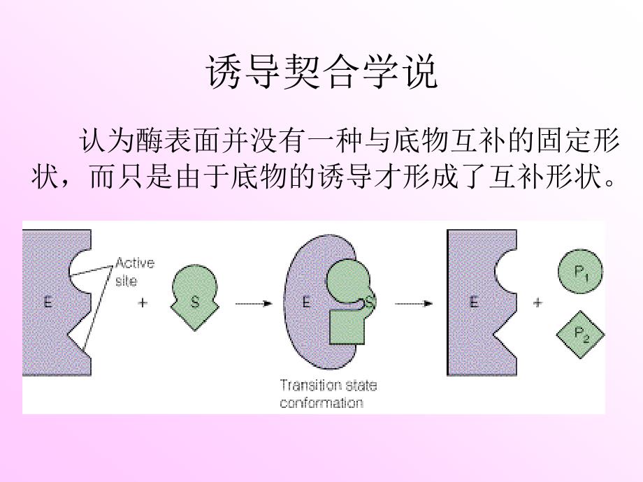 中间产物学说中间产物_第4页