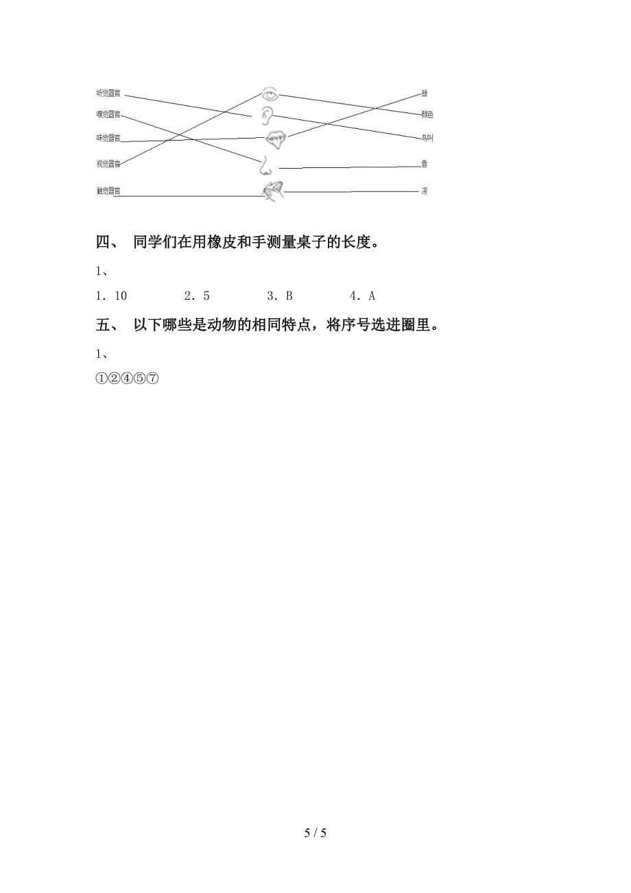 一年级科学上册期中考试卷(完整版).doc_第5页