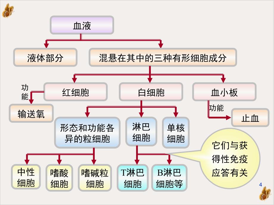 电离辐射对造血和免疫系统的影响课件_第4页