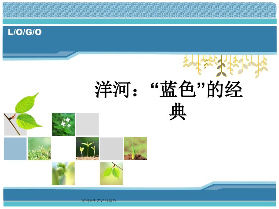 案例分析之洋河蓝色_第1页