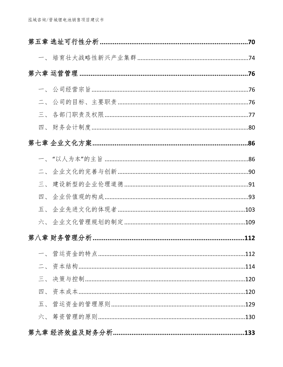 晋城锂电池销售项目建议书_参考模板_第4页