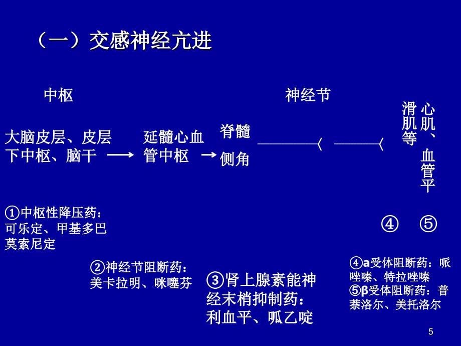 高血压的药物治疗XXXX_第5页