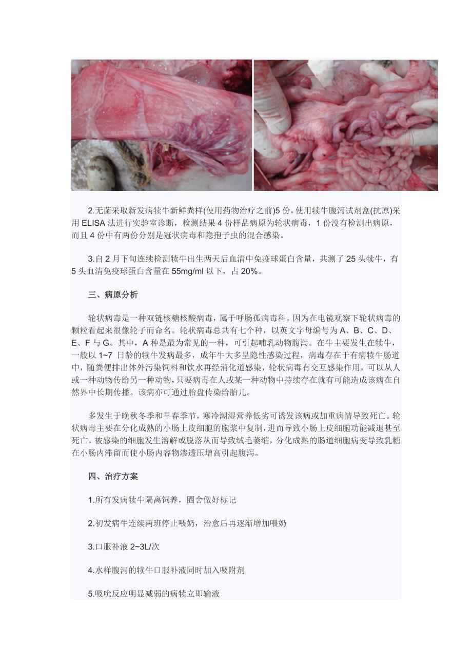 新生犊牛腹泻病例防治体会_第2页