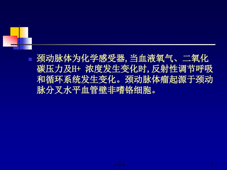 颈动脉体瘤影像诊断致远书苑_第5页