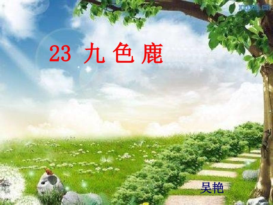 23九色鹿2课件_第1页