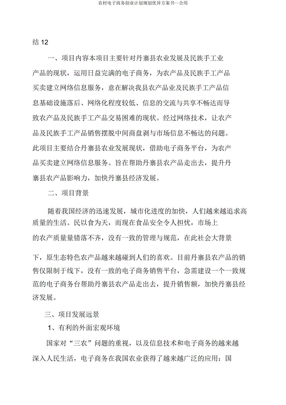 农村电子商务创业计划规划方案书实用.doc_第2页