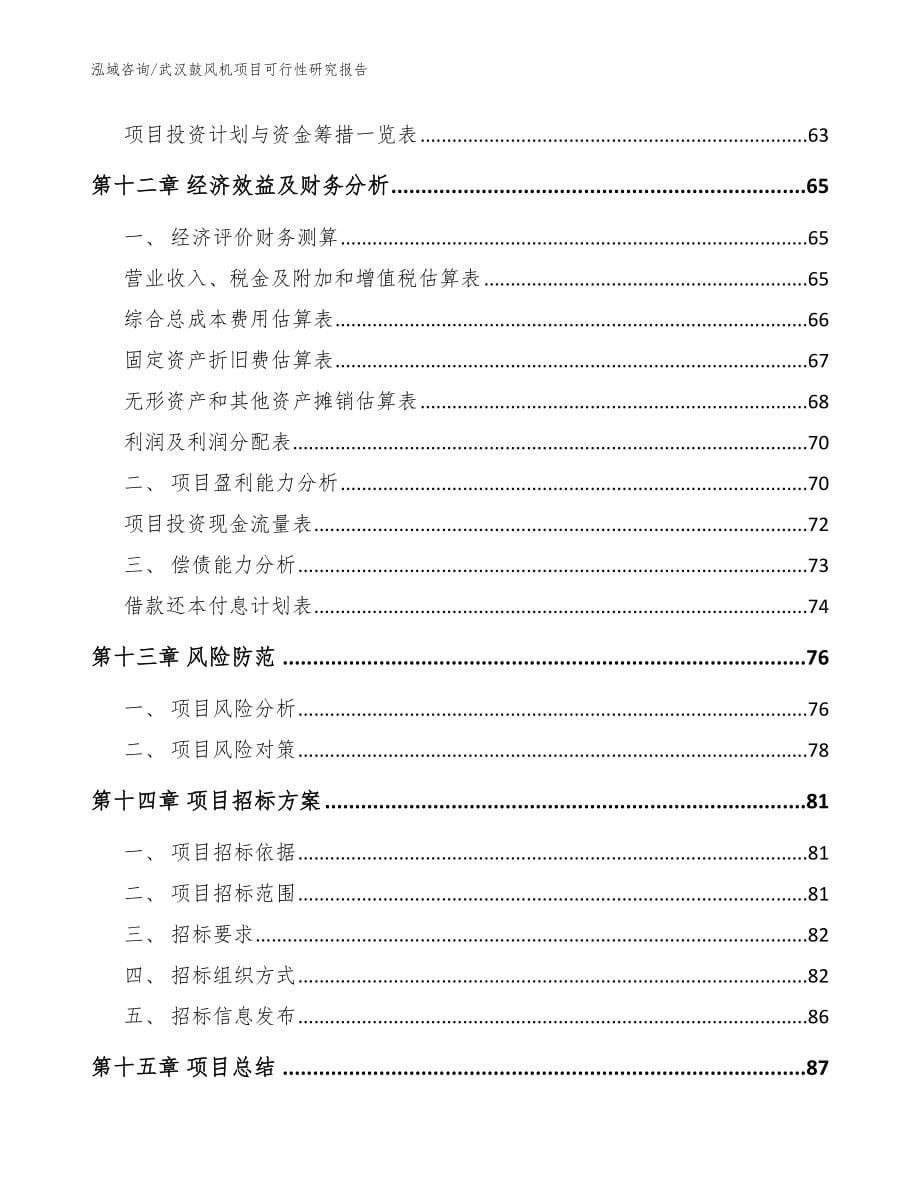 武汉鼓风机项目可行性研究报告（模板）_第5页