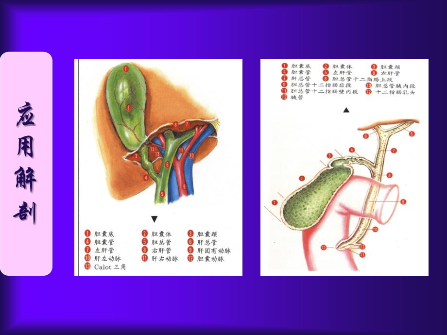 大连医科大学附属二医院_第2页