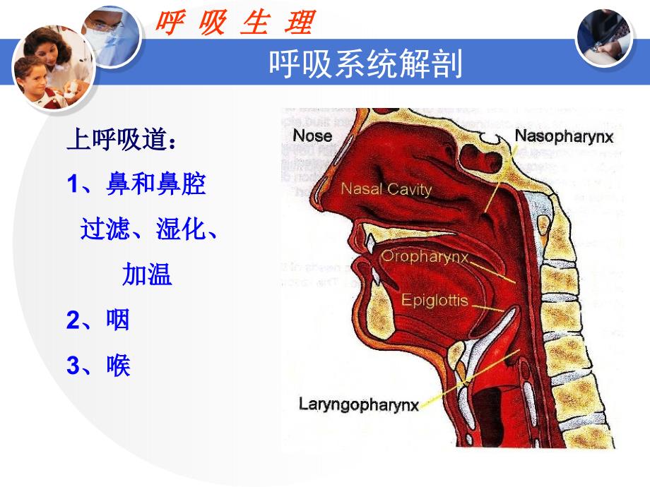 呼吸生理与呼吸机课件_第3页