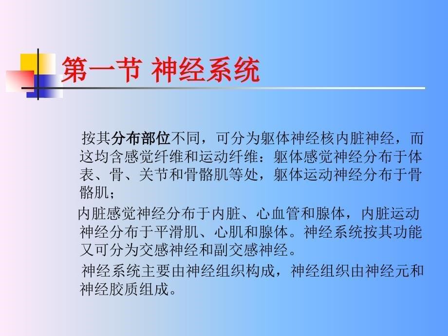 5改善神经系统的功能性食品_第5页