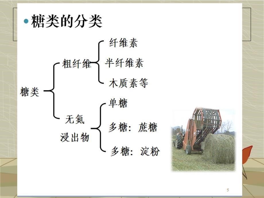 糖类的营养作用.ppt_第5页