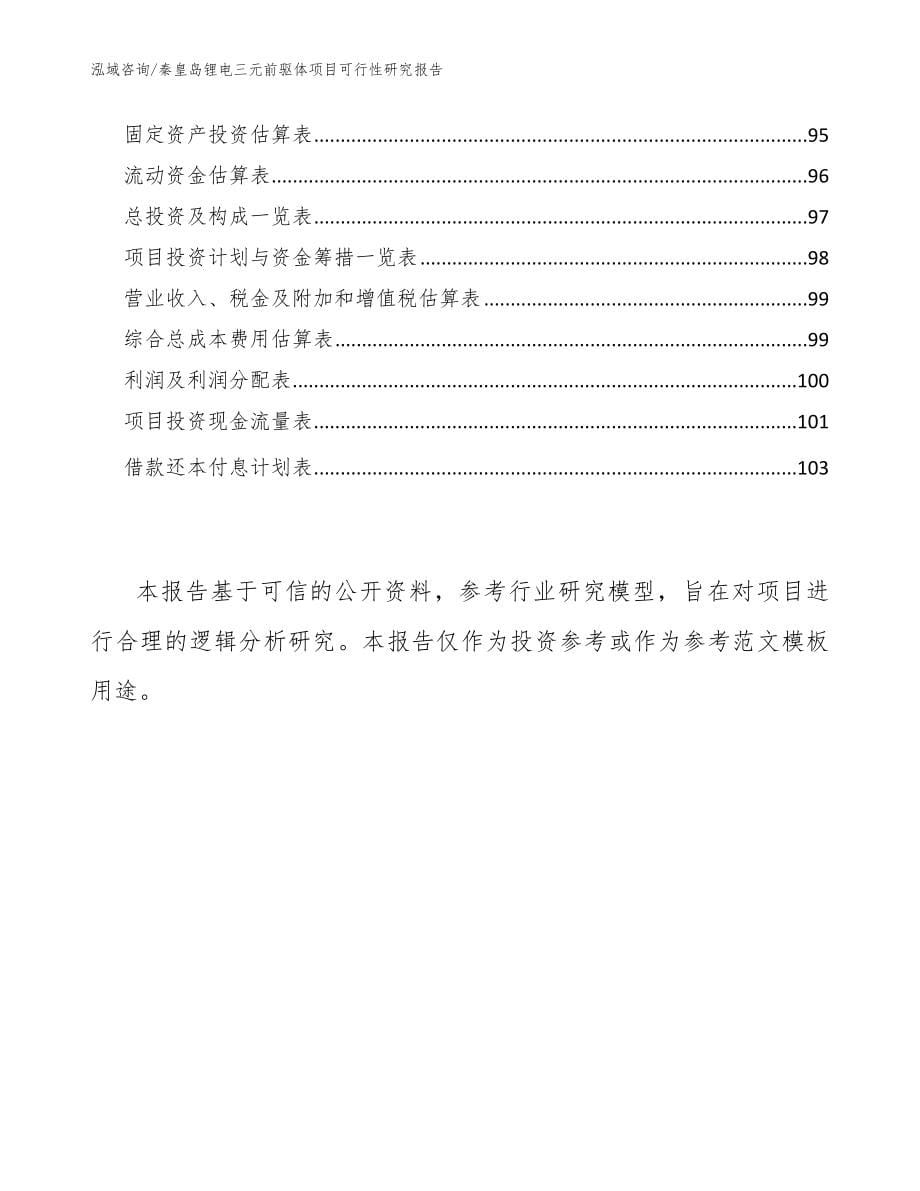 秦皇岛锂电三元前驱体项目可行性研究报告【范文模板】_第5页