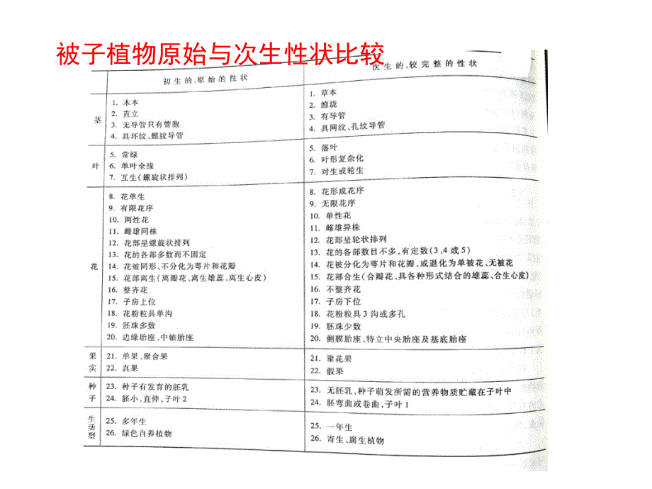 植物学教学课件：被子植物分类原则_第4页