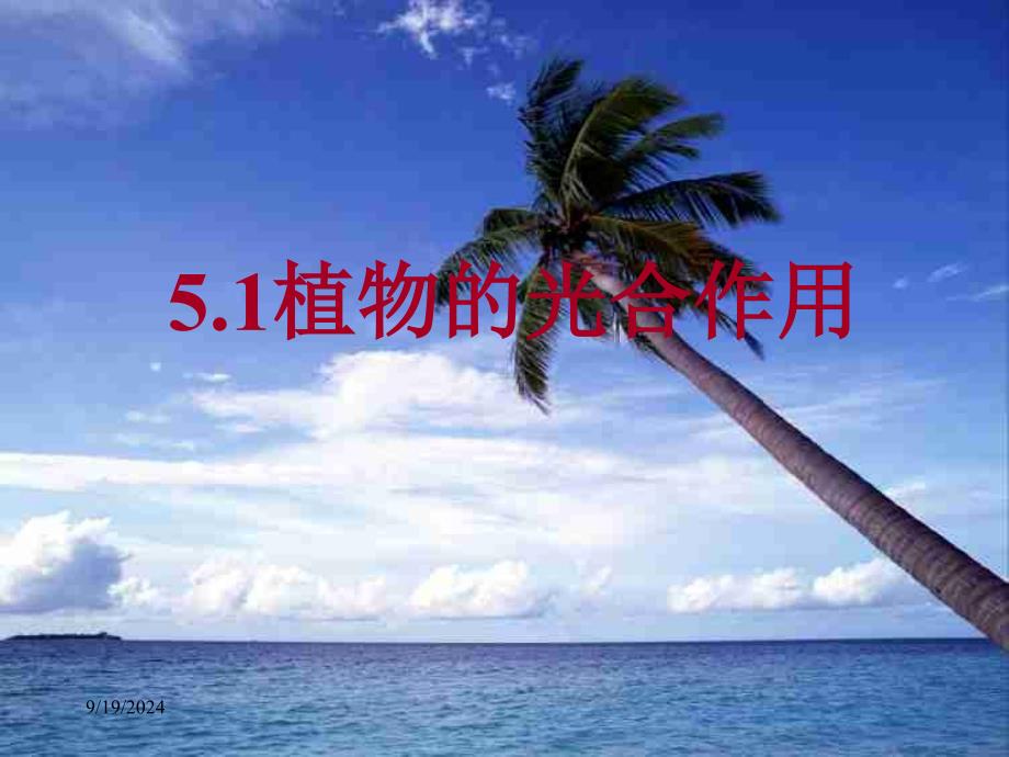 51植物的光合作用_第1页