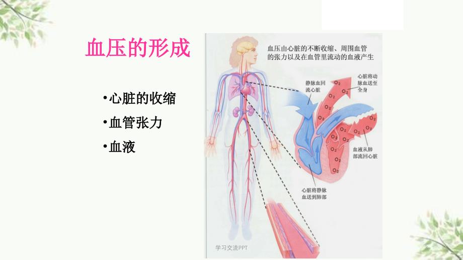 高血压患者如何自我管理医学课件_第3页