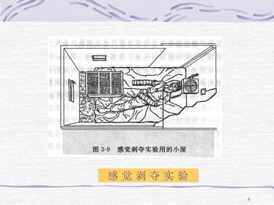 普通心理学Chapter 2 Sensation and Perception_第5页