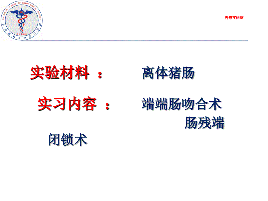 离体肠吻合.ppt_第4页