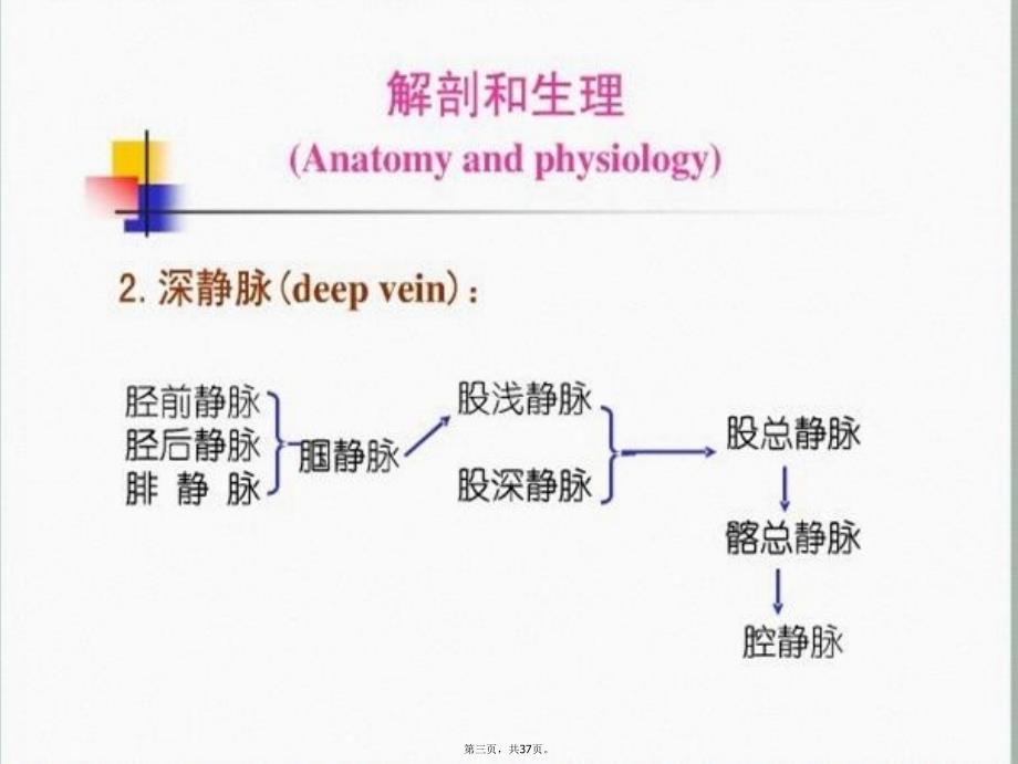 大隐静脉曲张病人护理讲解学习_第3页