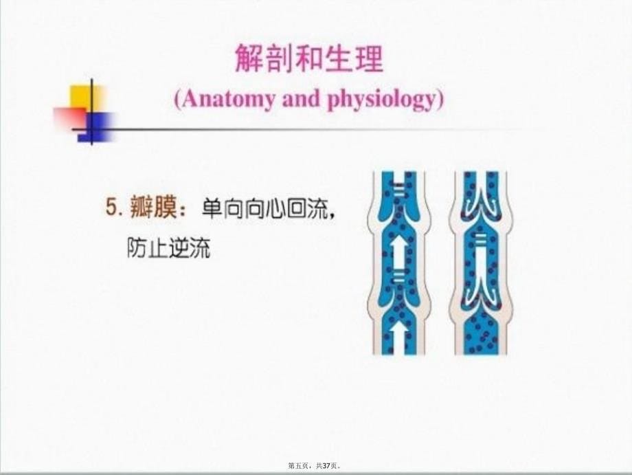 大隐静脉曲张病人护理讲解学习_第5页