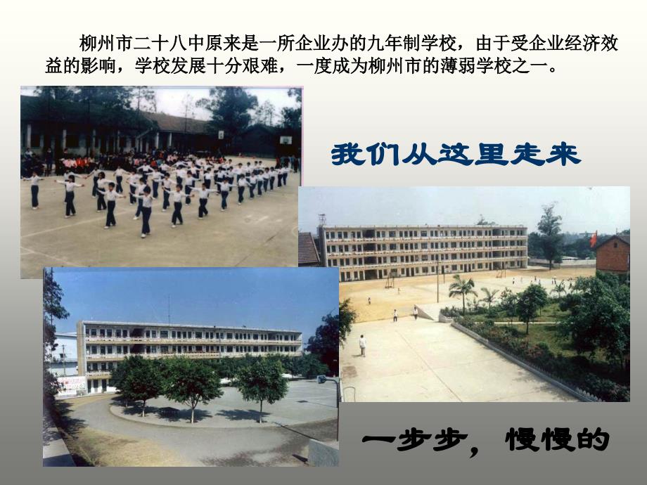 让“绿色学校文化”成为学校跨越式发展的助推力教案资料_第3页