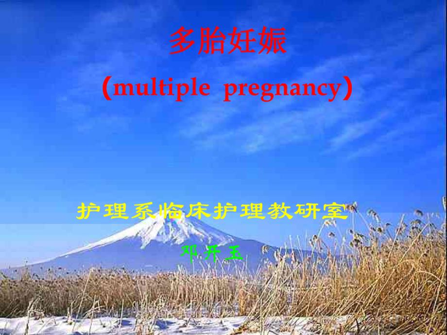 妇产科学多胎妊娠课件_第2页