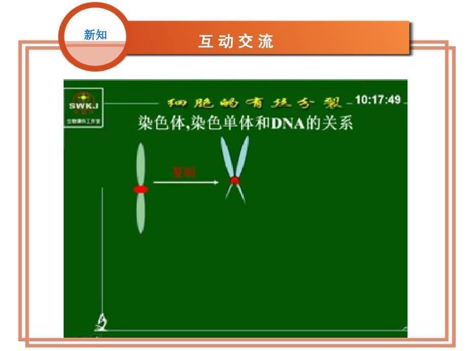 第1节细胞增殖 ——植物细胞有丝_第5页