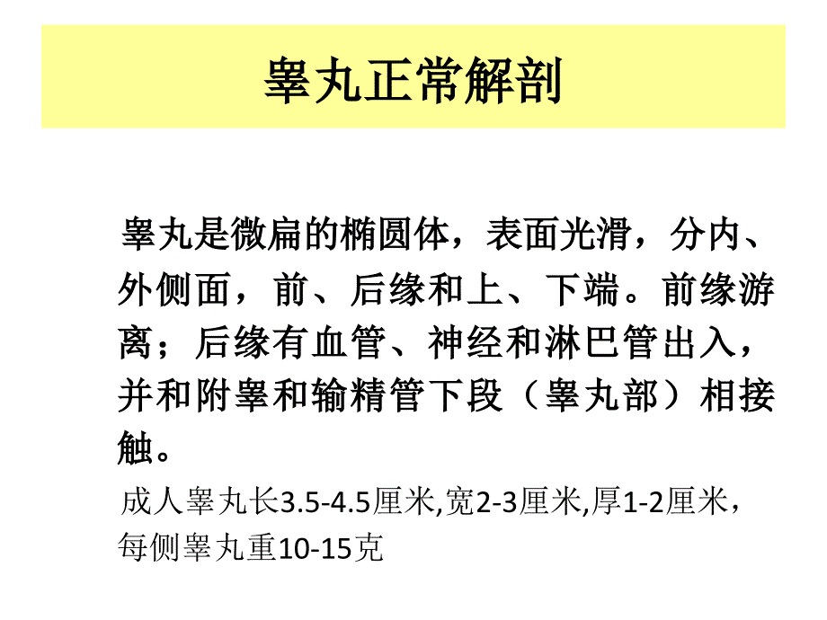 外科学教学课件：男性生殖系统疾病_第2页