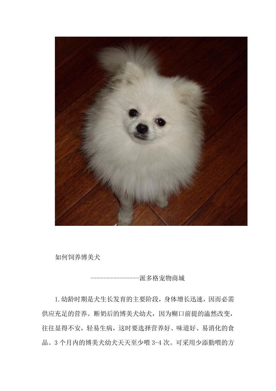 博美犬怎么养全集护理.doc_第1页