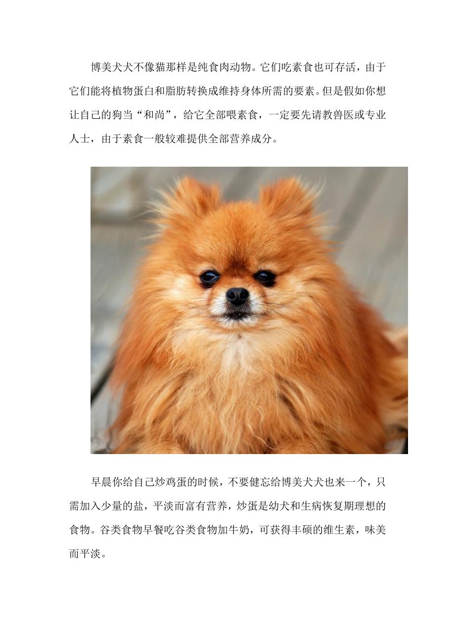 博美犬怎么养全集护理.doc_第4页