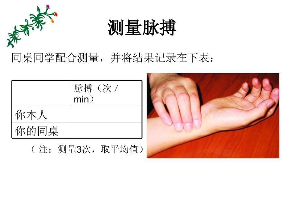 人体内物质的运输血管_第5页