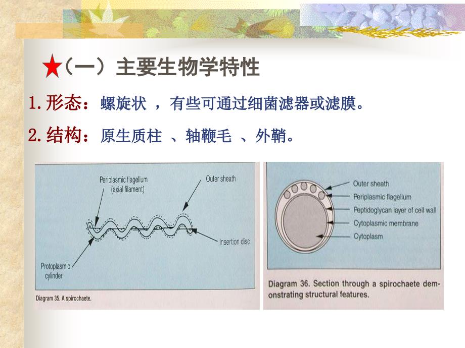 第十六第十八章_第2页