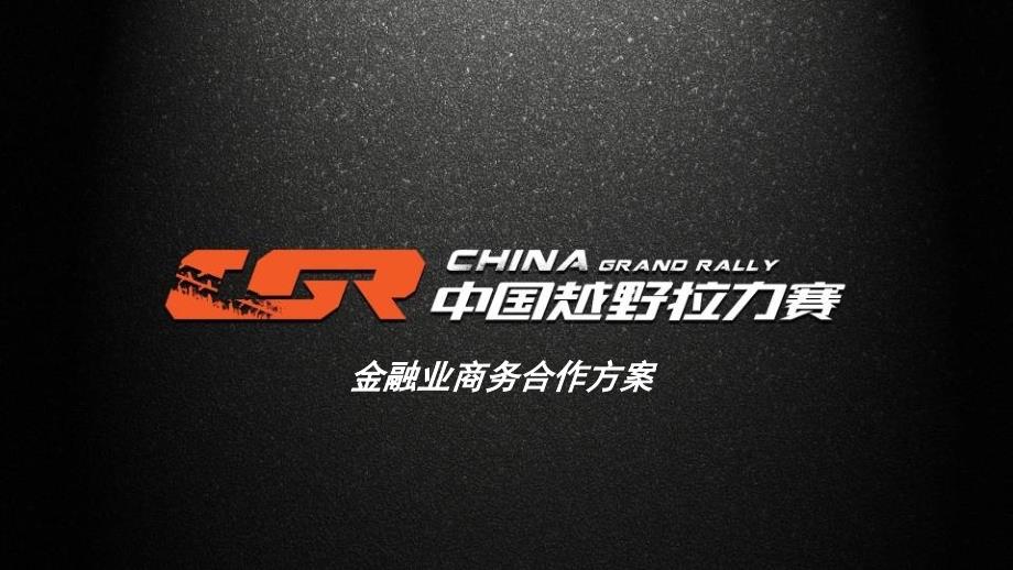 中国越野拉力赛商务合方案—金融业_第1页