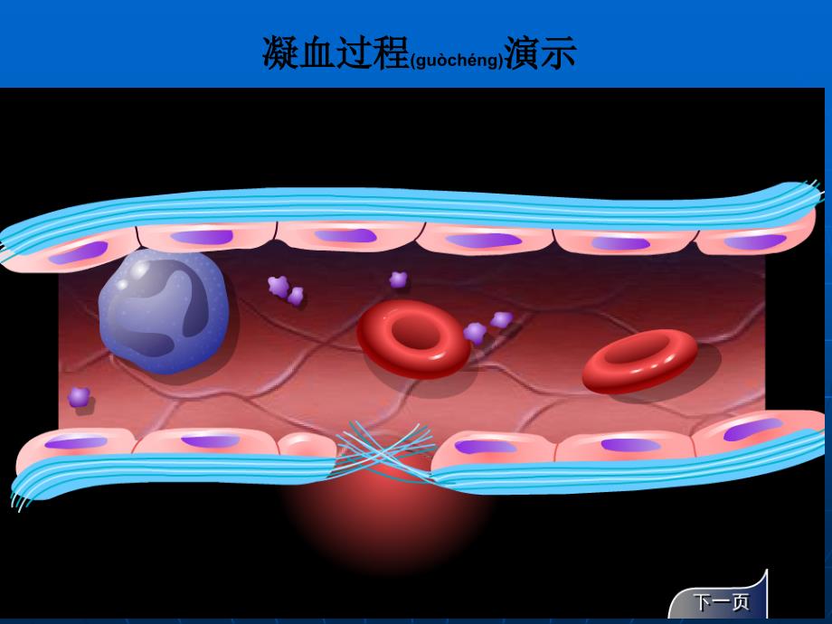 医学专题—作用及血液及造血系统药_第3页