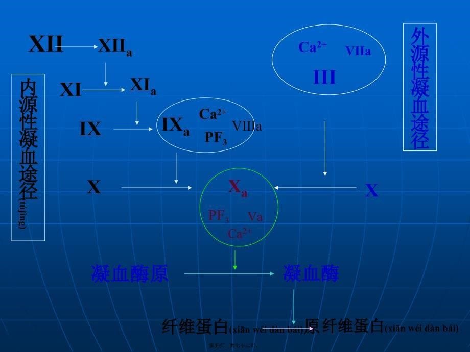 医学专题—作用及血液及造血系统药_第5页