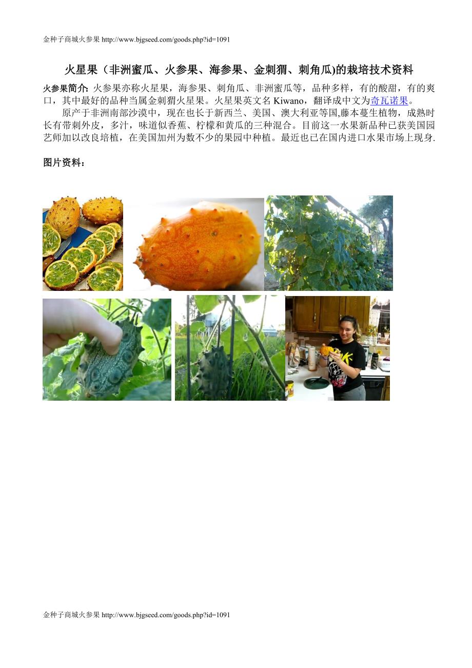 火星果(非洲蜜瓜、火参果、海参果、金刺猬、刺角瓜)的栽培技术资料.doc_第1页