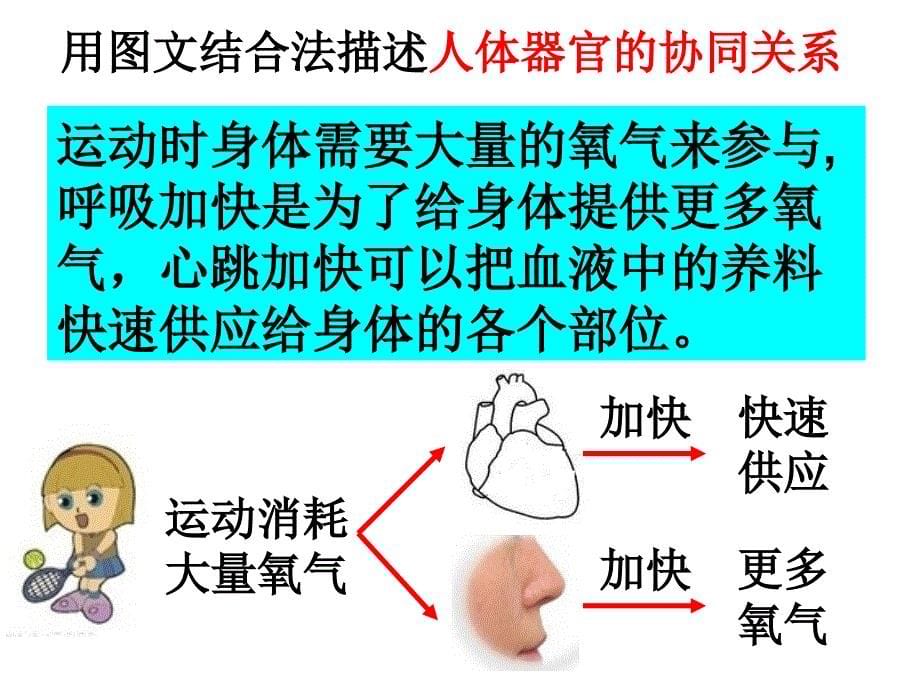 教科版四年级上册四单元7课_第5页