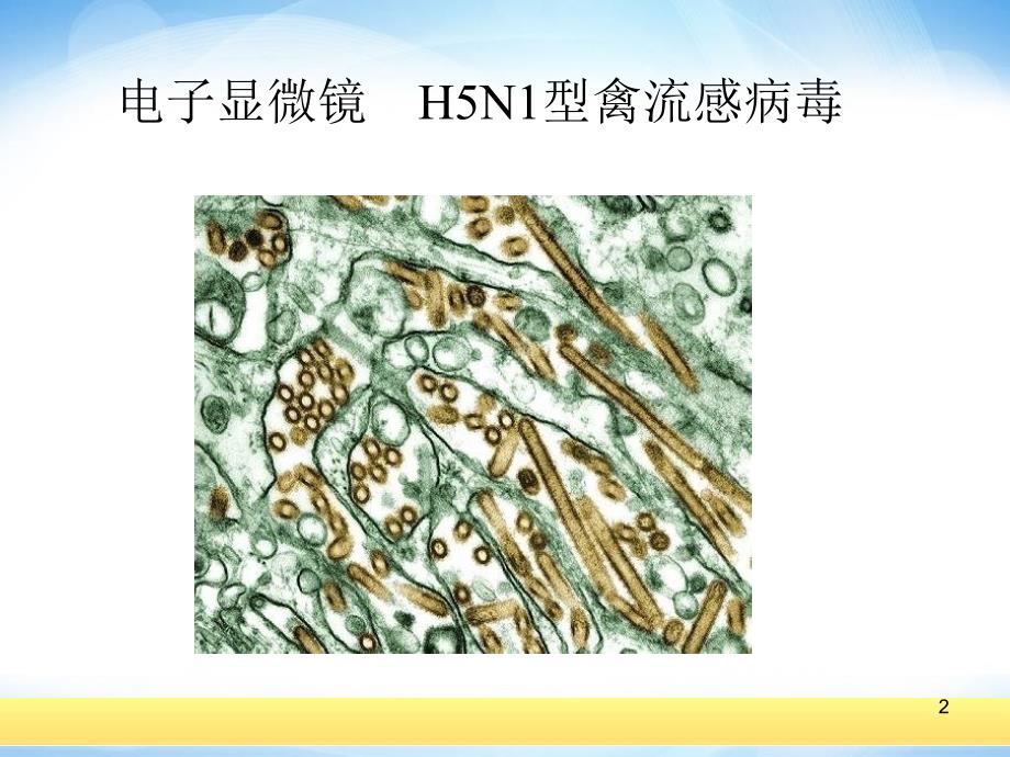 选修2获取图形图象ppt课件高中信息技术_第2页