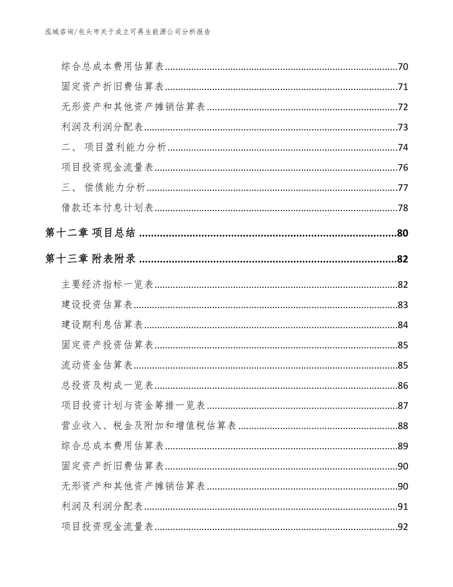 包头市关于成立可再生能源公司分析报告（范文模板）_第5页