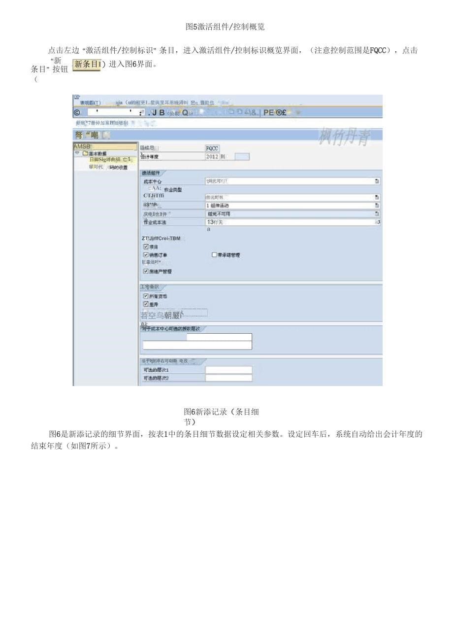 3维护成本控制范围(Controlling Area)_第5页