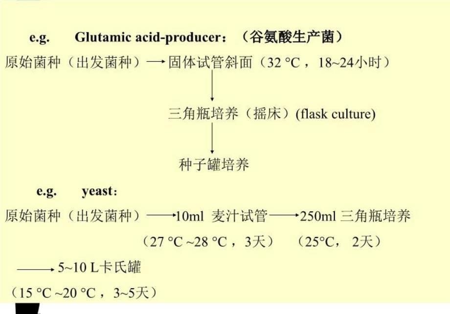 最新发酵工艺中种子扩大培养幻灯片_第5页