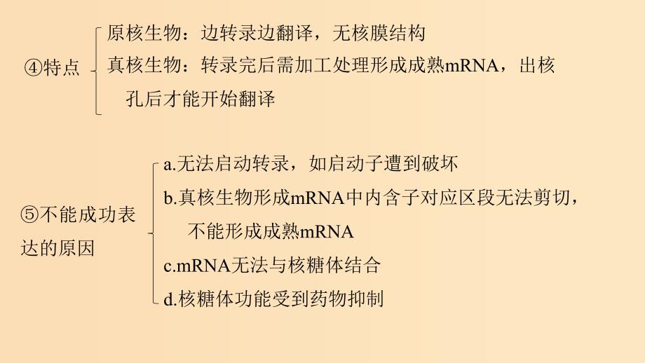 （全国通用版）2019高考生物二轮复习 专题四 遗传的分子基础、变异与进化 梳理核心概念 排查常考基础点课件.ppt_第4页