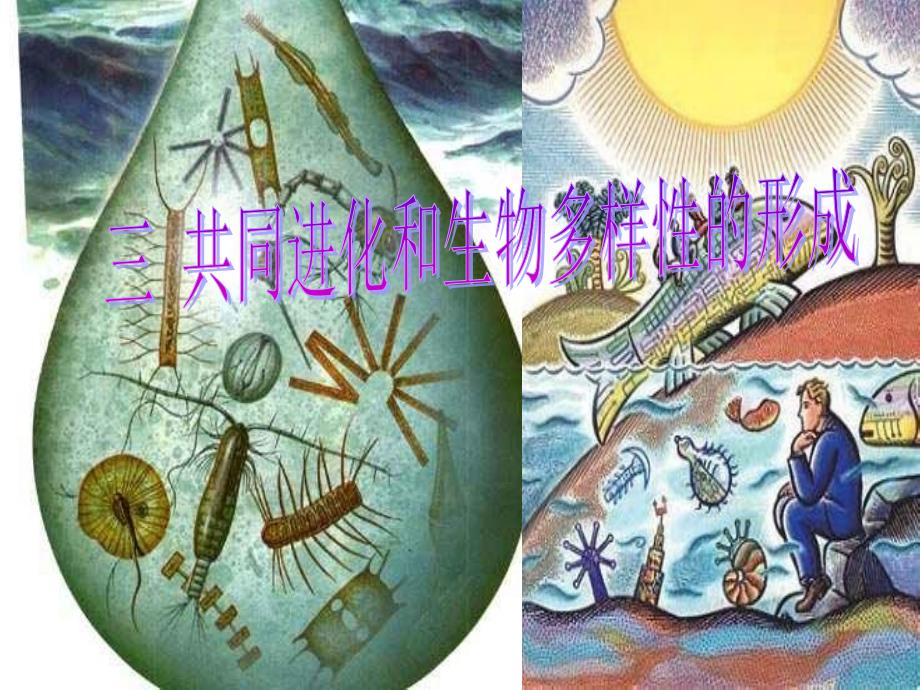 三 共同进化和生物多样性的形成_第1页